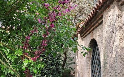 Sorprese di primavera
